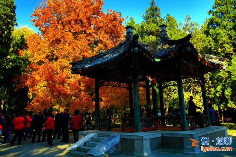 【2017年北京地鐵線路圖】2017年北京地鐵開通線路及規劃圖? 【2017年北京地鐵線路圖】2017年北京地鐵開通線路及規劃圖?