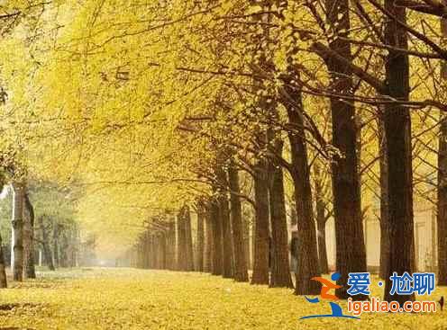 北京，每一處角落都有別樣的風情？