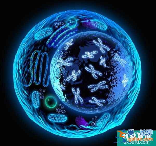 患有皮膚病可以去做試管嬰兒嗎?? 患有皮膚病可以去做試管嬰兒嗎??