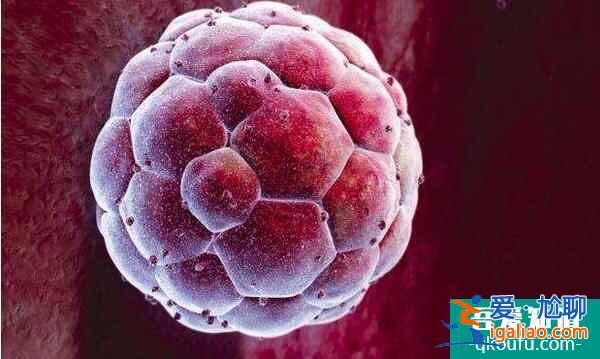 瘢痕子宮可以去做試管嬰兒嗎?? 瘢痕子宮可以去做試管嬰兒嗎??