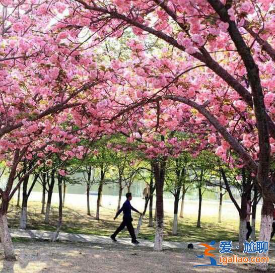 北京，每一處角落都有別樣的風情？