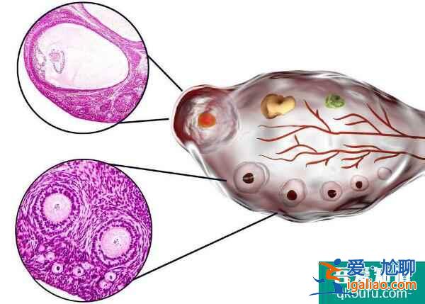 分析試管嬰兒三大用藥環節的意義與安全性？