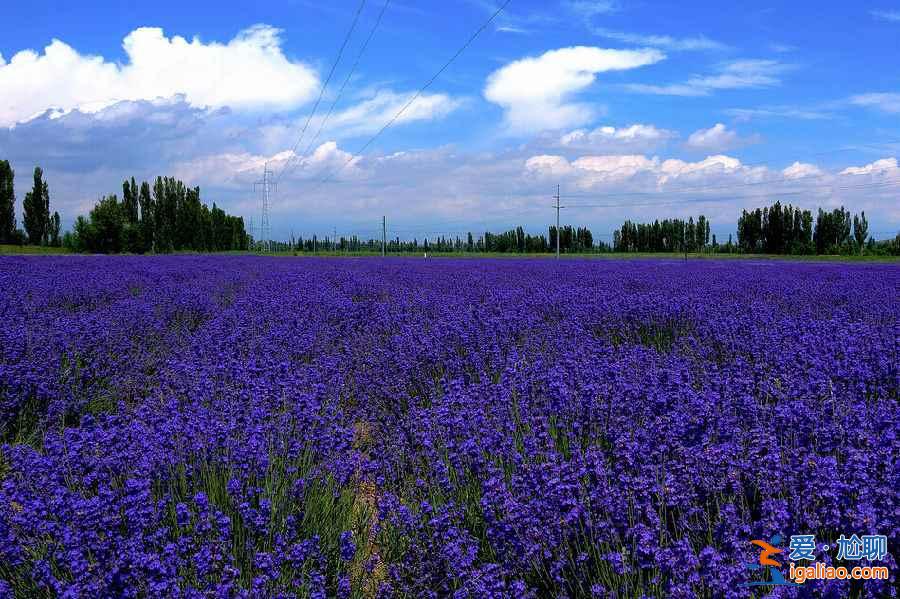 壯闊蒼茫大西北,中國最美的地方!? 壯闊蒼茫大西北,中國最美的地方!?