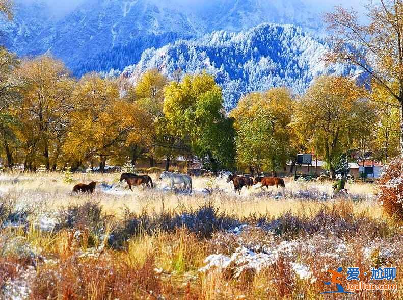 壯闊蒼茫大西北,中國最美的地方!? 壯闊蒼茫大西北,中國最美的地方!?