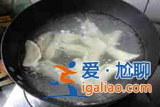 茴香餃子的做法大全？