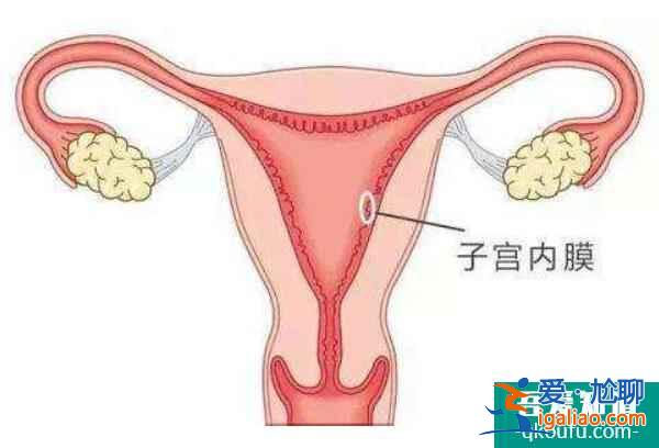 子宮息肉切除后，赴美做試管嬰兒的三大好孕對策？
