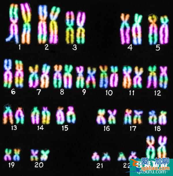 夫妻雙方都沒(méi)有染色體異常，是否有必要做第三代試管嬰兒?？