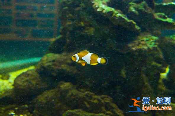 這里被譽為“世界最美麗的大學”,好想去上學? 這里被譽為“世界最美麗的大學”,好想去上學?