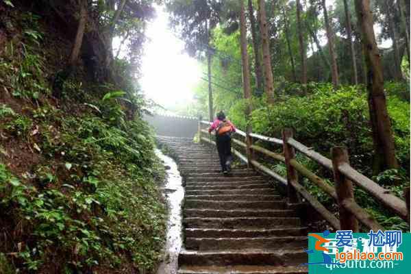 峨眉山冬天封山嗎 峨眉山冬天旅游攻略？