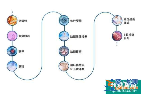 解析去做試管嬰兒，成功率高的關鍵因素？