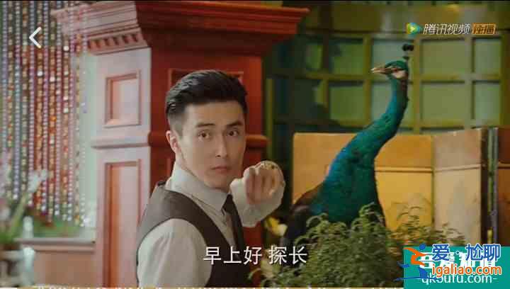 一盤甜點愛上旗袍美探，原來探長是吃貨？