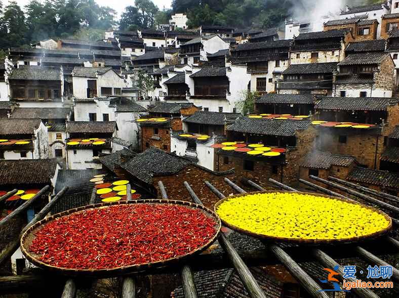 中國最美鄉村，即將迎來它一年中最美的時刻？