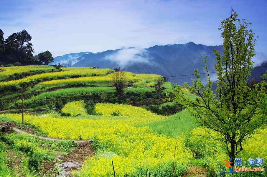 婺源除了油菜花，這些也不可錯(cuò)過！？