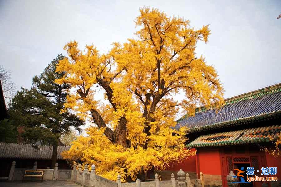 北京10月適合去哪玩，北京十月去哪玩好？