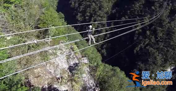 瑞士造270米超長吊橋，挑戰(zhàn)游客心理極限？