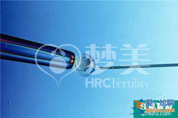 試管嬰兒ICSI成功率有哪些因素決定?如何提高?？