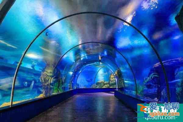 2021溫州極地海洋世界最新恢復開放通知？