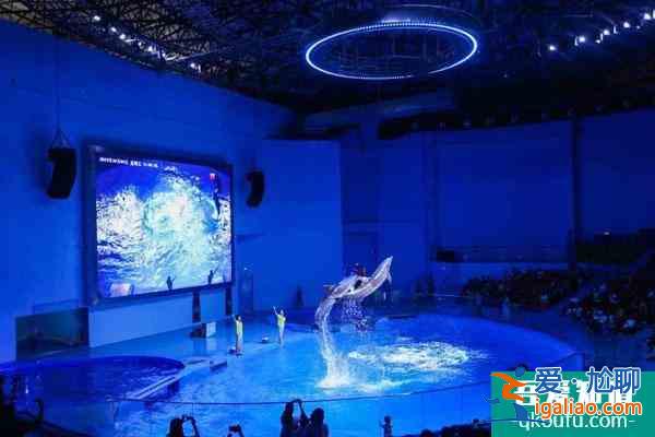 2021溫州極地海洋世界最新恢復開放通知？