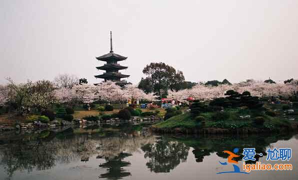 去武漢，這幾件事必體驗??？