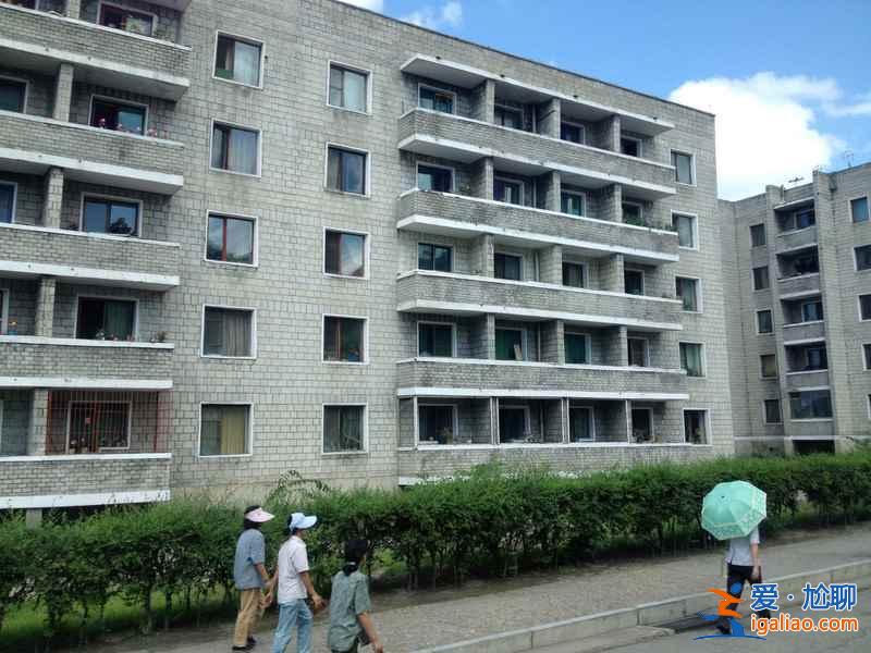來自游客的朝鮮實拍（多圖）？