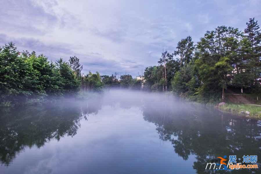 去延邊美人松公園，邂逅“美人”？