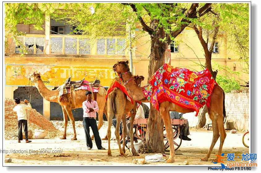 印度的聲色誘惑,太“色”了!? 印度的聲色誘惑,太“色”了!?