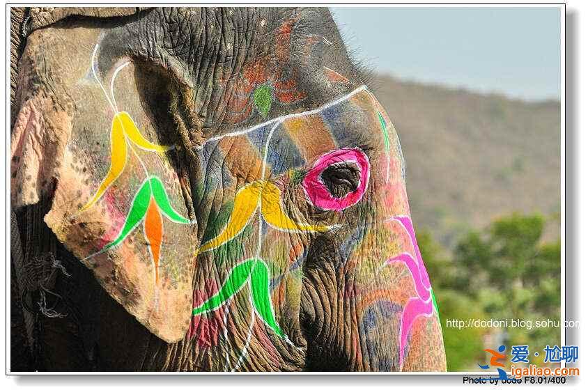 印度的聲色誘惑,太“色”了!? 印度的聲色誘惑,太“色”了!?