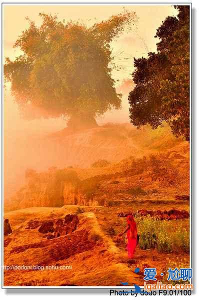 印度的聲色誘惑,太“色”了!? 印度的聲色誘惑,太“色”了!?