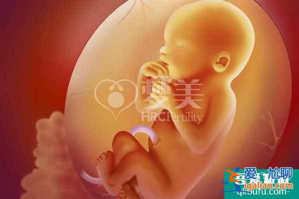 單身女性去做試管圓“媽媽”夢的具體流程分析？