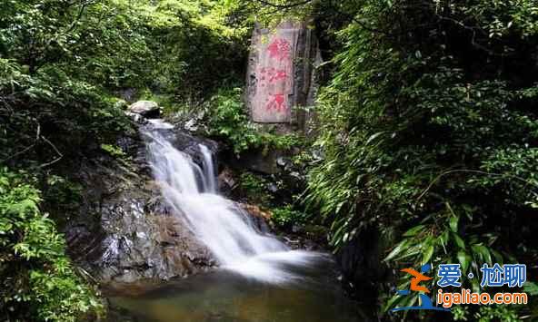 中國的亞馬遜雨林，攝影師的天堂？
