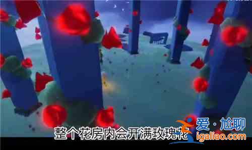 光遇小王子季第四個任務怎么做？任務4被污染的花位置圖文一覽？