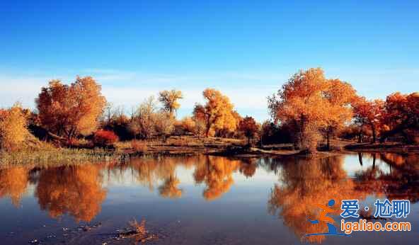 額濟納旗在哪里，額濟納旗在什么地方？