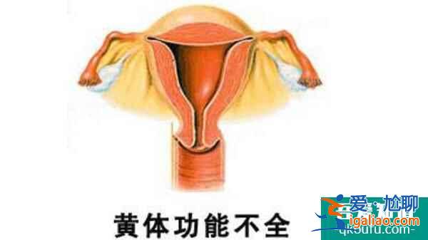 試管專家深度解析：黃體不足對胚胎著床的影響？