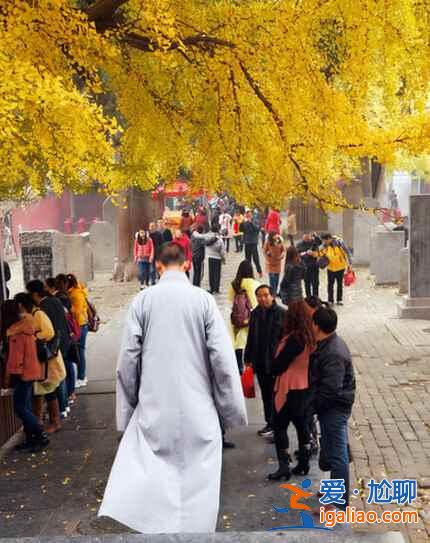 中國佛教的禪宗祖庭，少林武術的發(fā)祥地——少林寺？