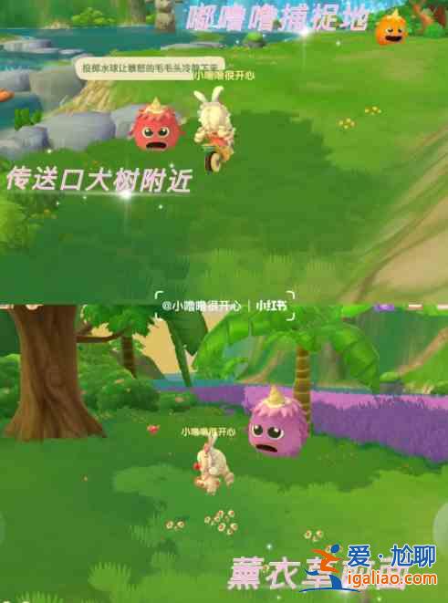 摩爾莊園怎么和拉姆玩耍？凱文老師特訓任務完成攻略？