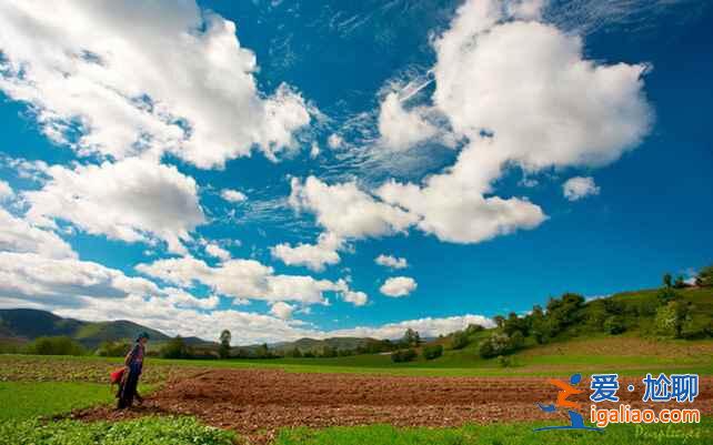 香格里拉真的是人間天堂，你一定要去一次！？