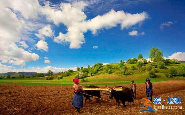 香格里拉真的是人間天堂，你一定要去一次！？