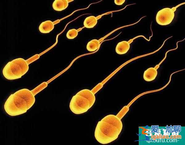 去做試管嬰兒前應(yīng)該準(zhǔn)備什么?？