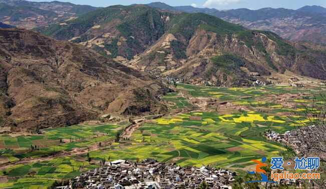 王菲也去大理了,你不想去看看嗎?? 王菲也去大理了,你不想去看看嗎??