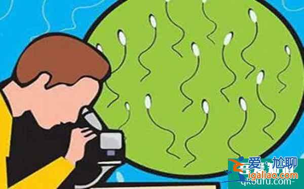 試管嬰兒專家：胚胎質(zhì)量差主要是女方的因素嗎？？