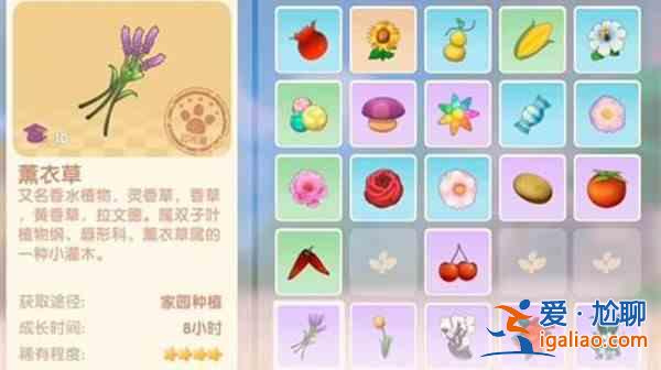 摩爾莊園薰衣草花梗位置大全 薰衣草花梗任務道具獲取攻略？