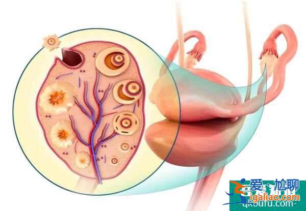 從非婚生子隨母落戶政策角度分析赴美試管助孕的三大好處？