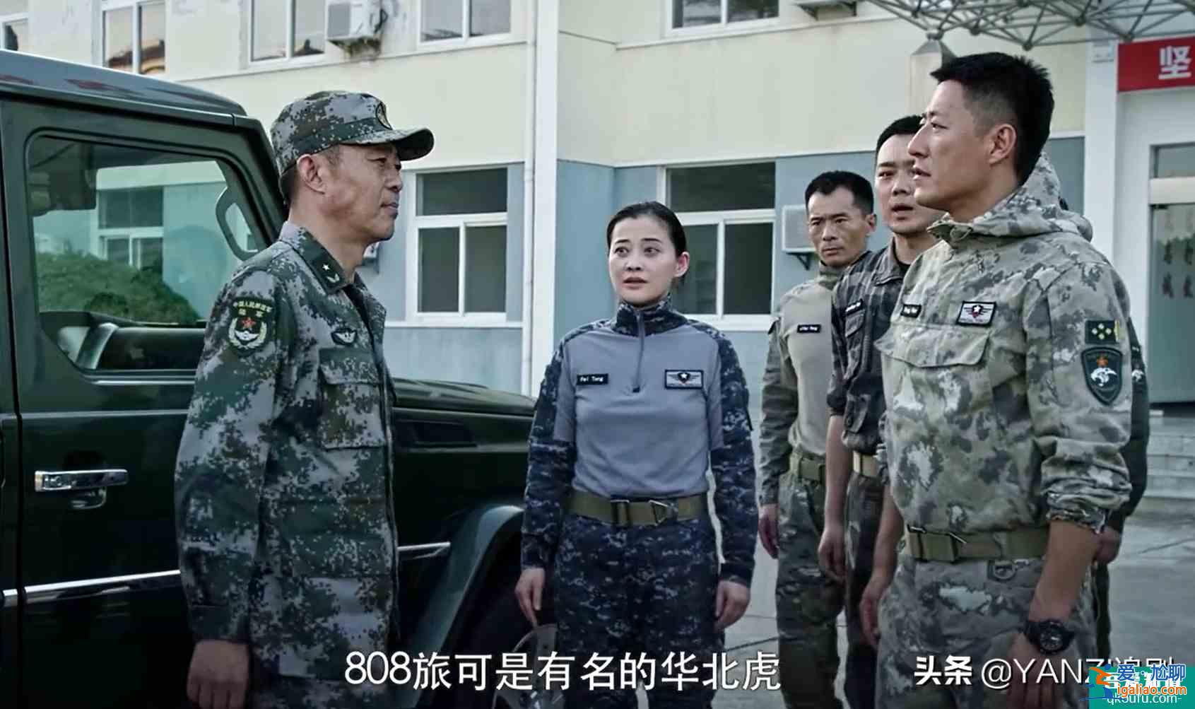 《藍軍出擊》開播點燃熱血，于震梅婷聯(lián)手打響山豹旅？