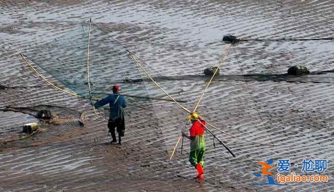 中國最美的漁村——福建霞浦？
