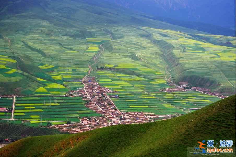 夏日青海，色彩盛宴：最美不過如此？