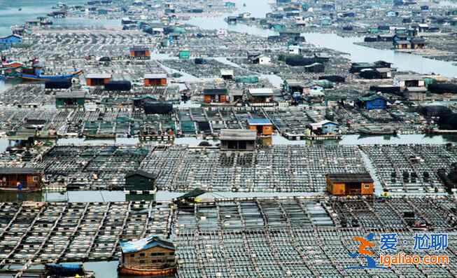 中國最美的漁村——福建霞浦？