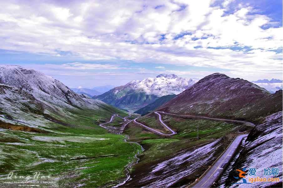 夏日青海，色彩盛宴：最美不過如此？