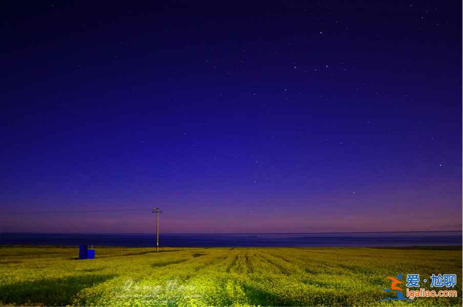 夏日青海，色彩盛宴：最美不過如此？