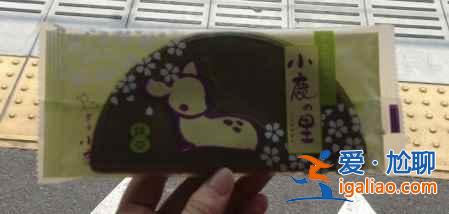 日本各地名產大匯集，日本旅游買買買！？