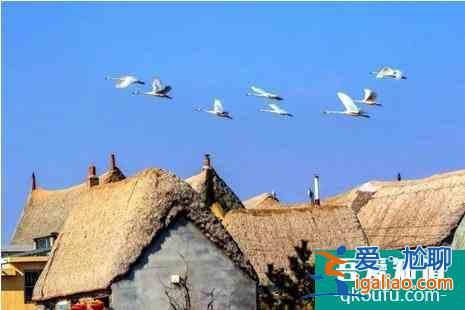 冬天去威海好玩嗎 這些冬季好玩景點推薦給大家？